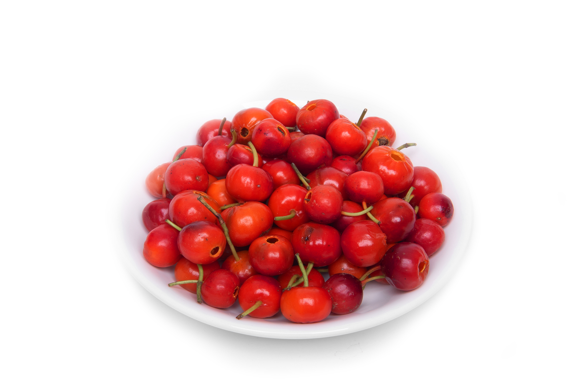 Rosehips Extract