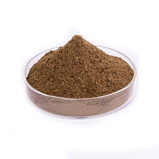 Black Elderberry Extract 