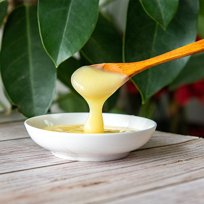 Fresh Royal Jelly