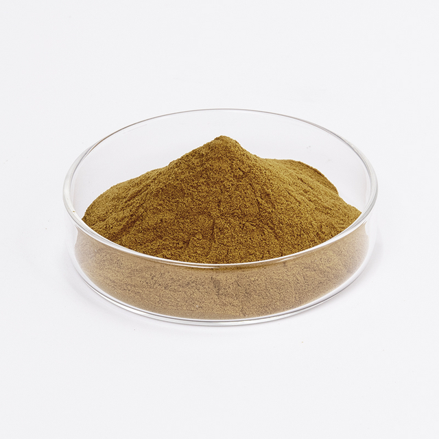 Belladonna Herb Extract 