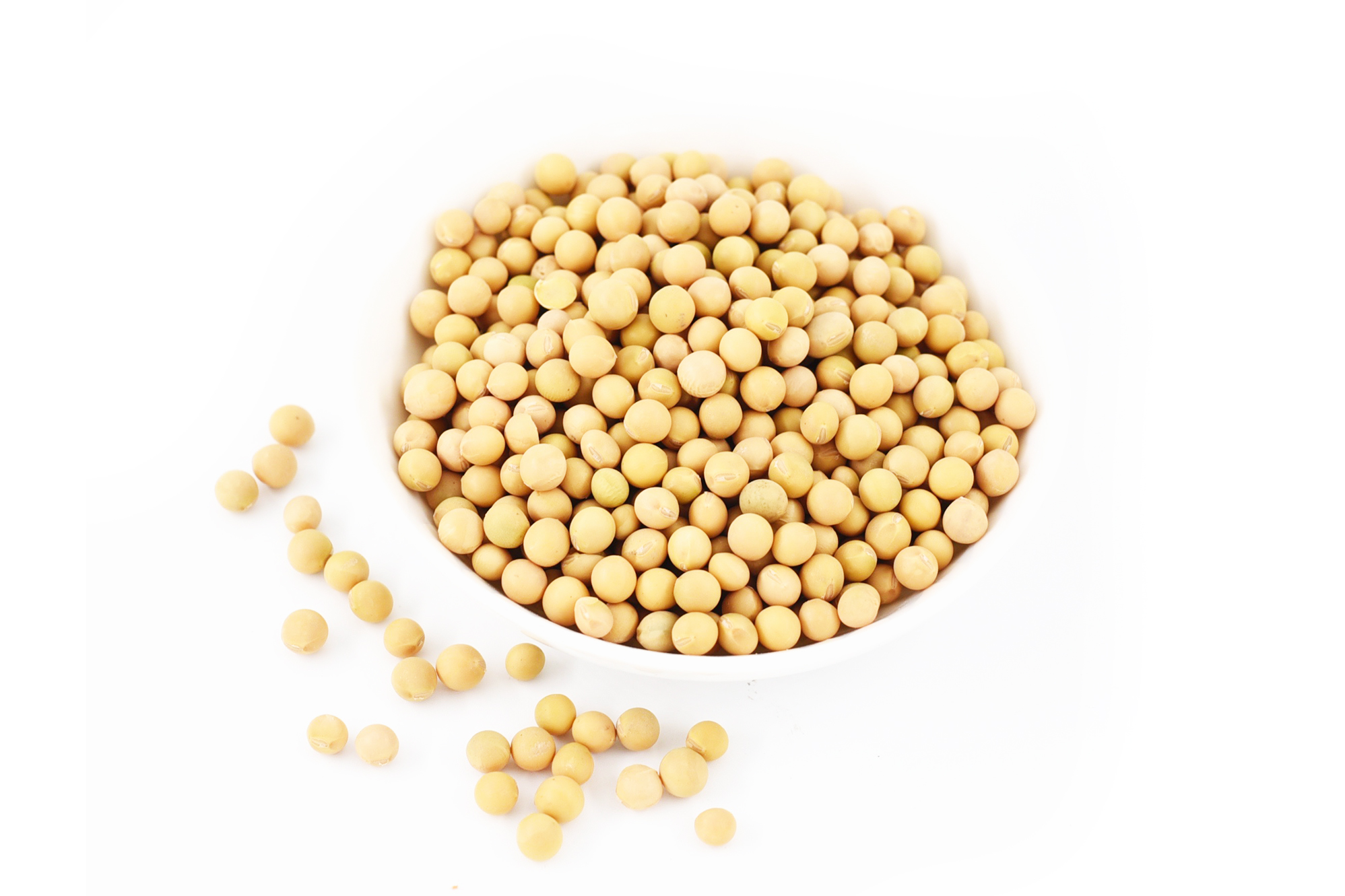 Soybean Extract