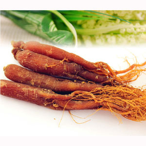 Red Ginseng Powder