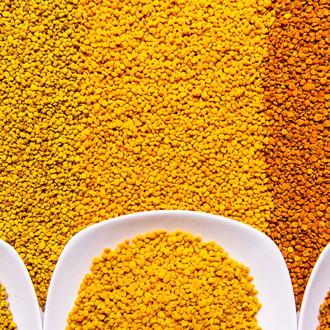 Mixed Pollen