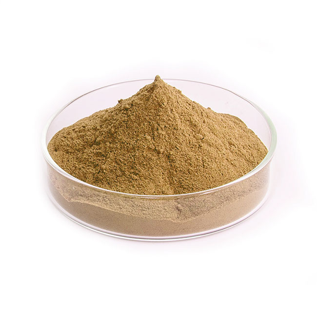 American Ginseng Extract